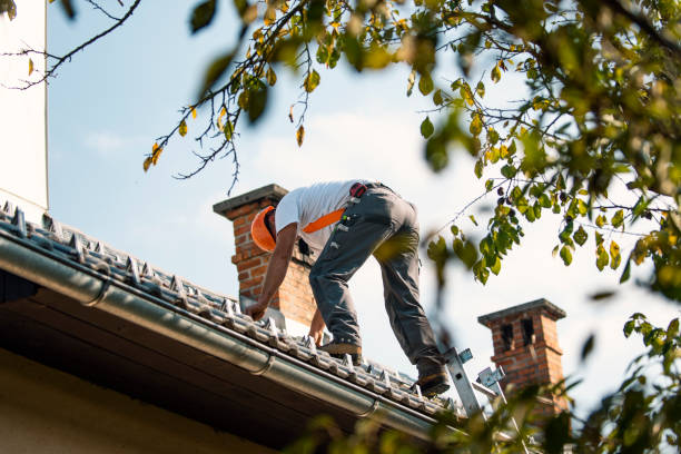 Best Roof Leak Repair  in Milford Mill, MD